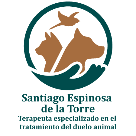 Pet-Loss-Support-Symbol-Espanol-Santiago